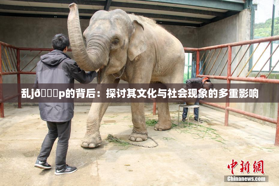 乱j🈚p的背后：探讨其文化与社会现象的多重影响