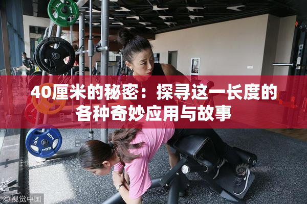 40厘米的秘密：探寻这一长度的各种奇妙应用与故事