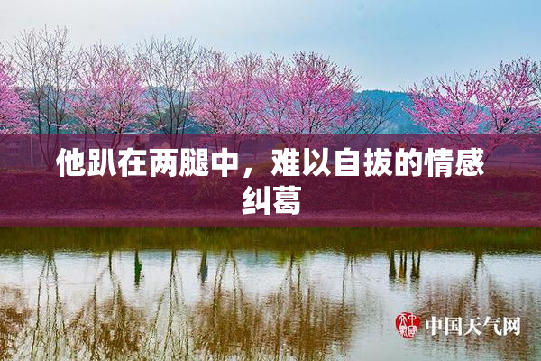 他趴在两腿中，难以自拔的情感纠葛