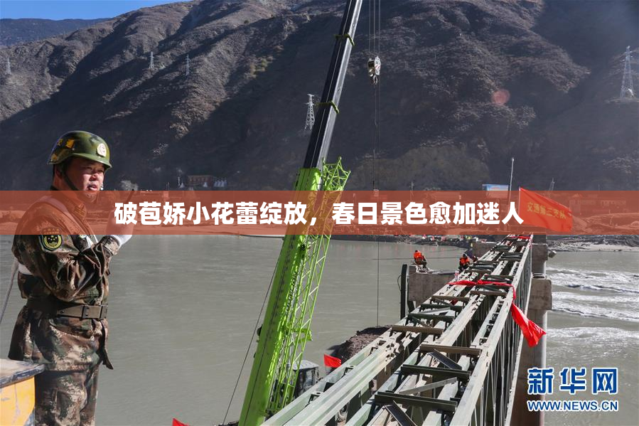 破苞娇小花蕾绽放，春日景色愈加迷人