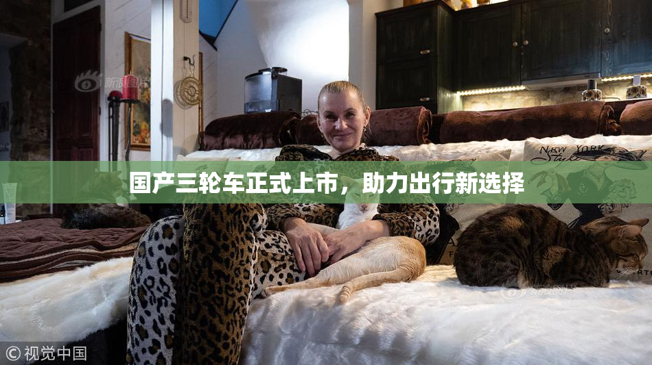 国产三轮车正式上市，助力出行新选择