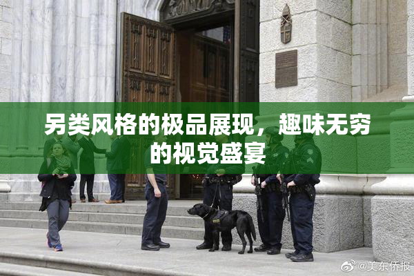 另类风格的极品展现，趣味无穷的视觉盛宴