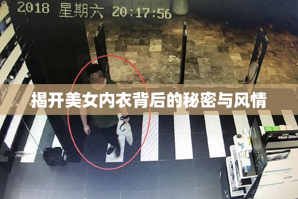 揭开美女内衣背后的秘密与风情