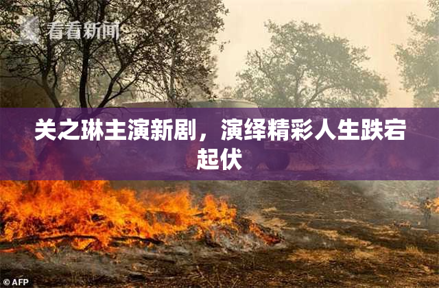关之琳主演新剧，演绎精彩人生跌宕起伏