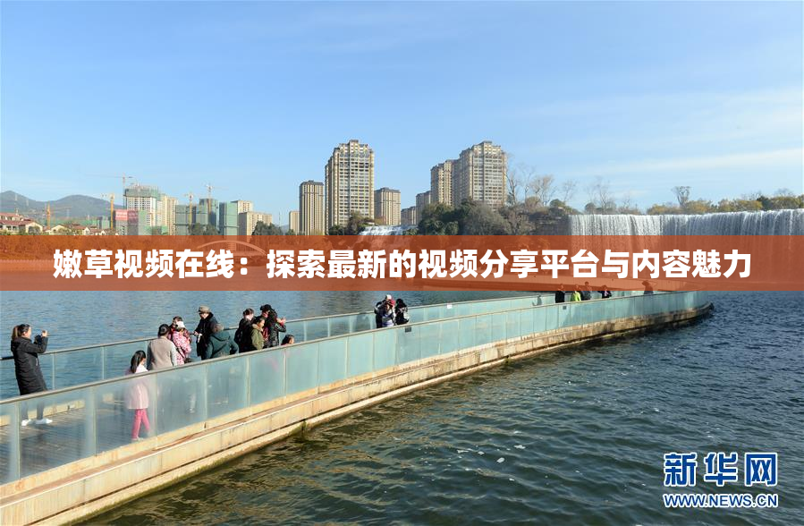 嫩草视频在线：探索最新的视频分享平台与内容魅力