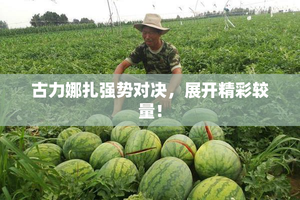 古力娜扎强势对决，展开精彩较量！