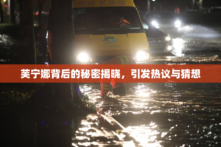 芙宁娜背后的秘密揭晓，引发热议与猜想