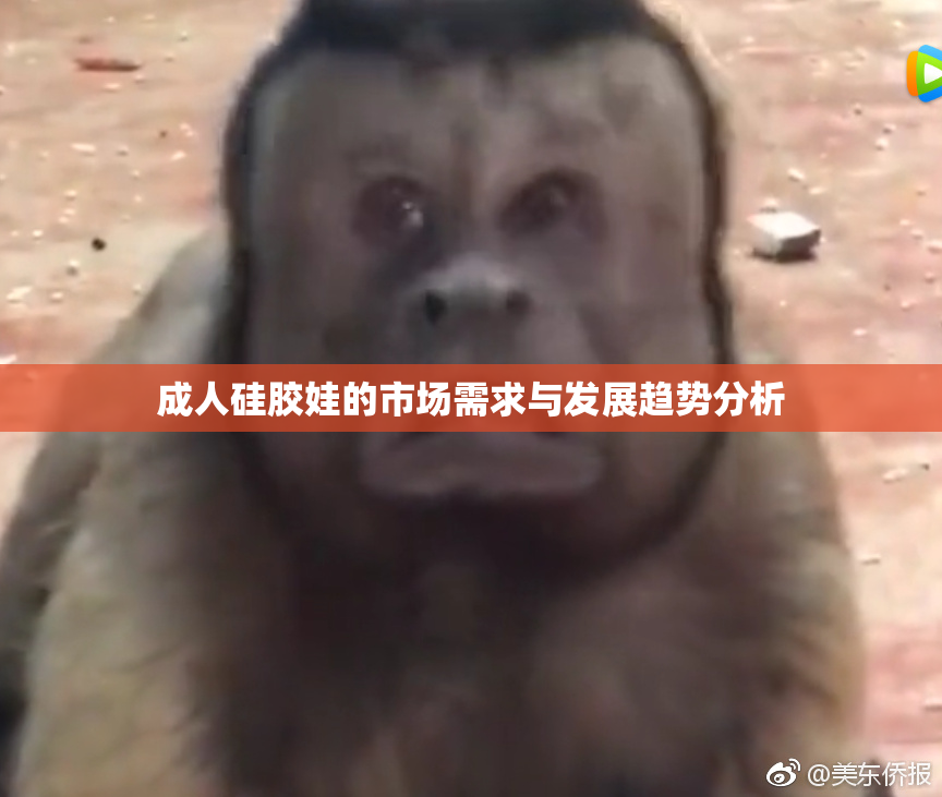 成人硅胶娃的市场需求与发展趋势分析