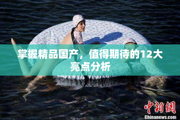 掌握精品国产，值得期待的12大亮点分析