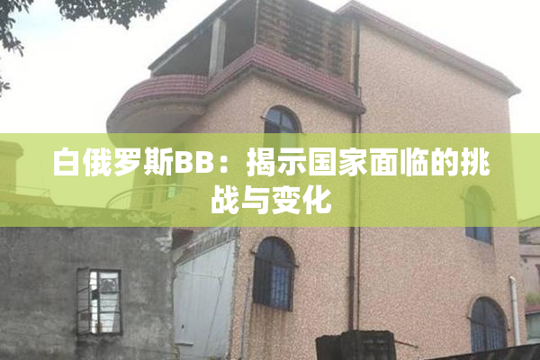 白俄罗斯BB：揭示国家面临的挑战与变化
