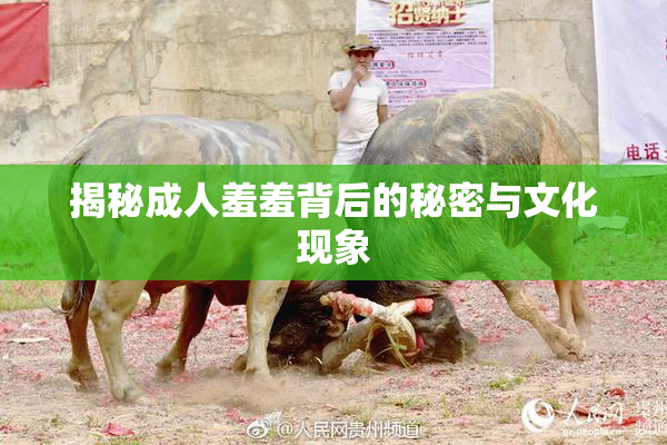 揭秘成人羞羞背后的秘密与文化现象