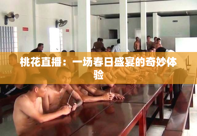 桃花直播：一场春日盛宴的奇妙体验
