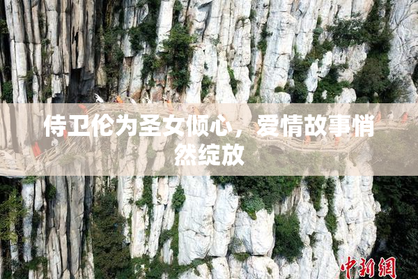 侍卫伦为圣女倾心，爱情故事悄然绽放