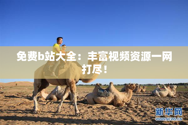免费b站大全：丰富视频资源一网打尽！