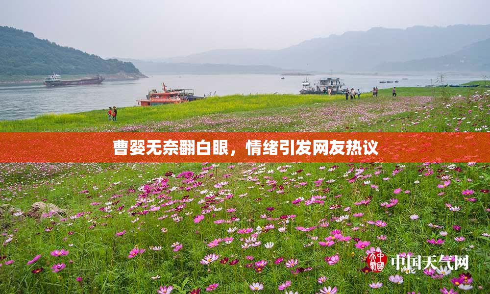 曹婴无奈翻白眼，情绪引发网友热议