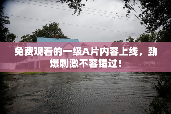 免费观看的一级A片内容上线，劲爆刺激不容错过！