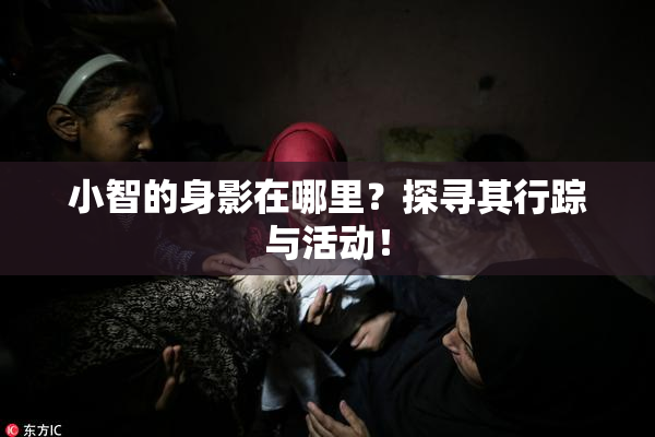 小智的身影在哪里？探寻其行踪与活动！