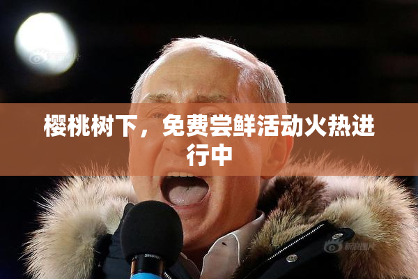 樱桃树下，免费尝鲜活动火热进行中