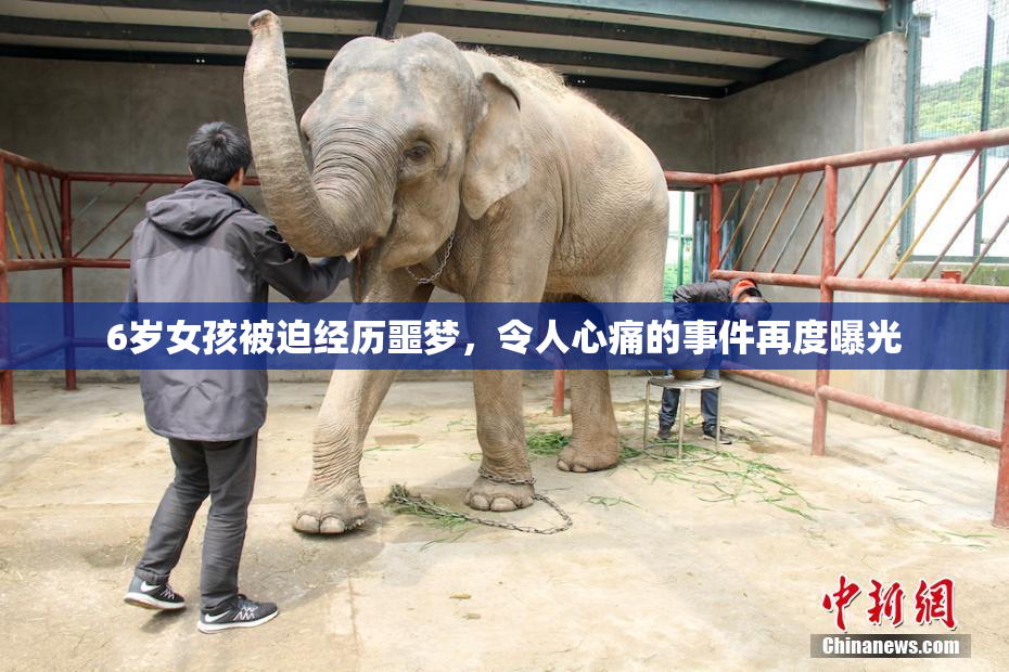 6岁女孩被迫经历噩梦，令人心痛的事件再度曝光