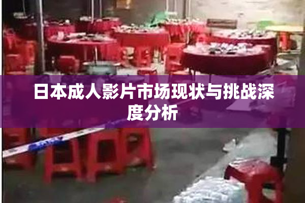 日本成人影片市场现状与挑战深度分析