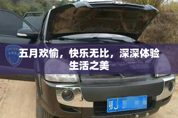 五月欢愉，快乐无比，深深体验生活之美