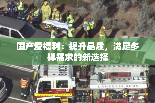 国产爱福利：提升品质，满足多样需求的新选择