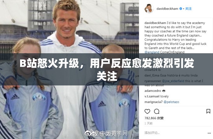 B站怒火升级，用户反应愈发激烈引发关注