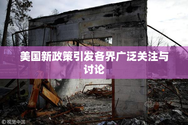 美国新政策引发各界广泛关注与讨论