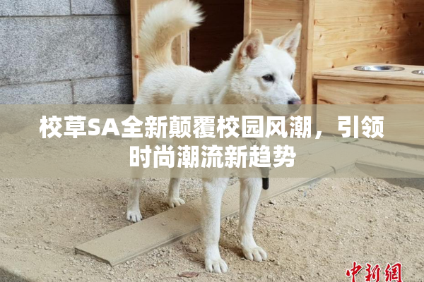 校草SA全新颠覆校园风潮，引领时尚潮流新趋势