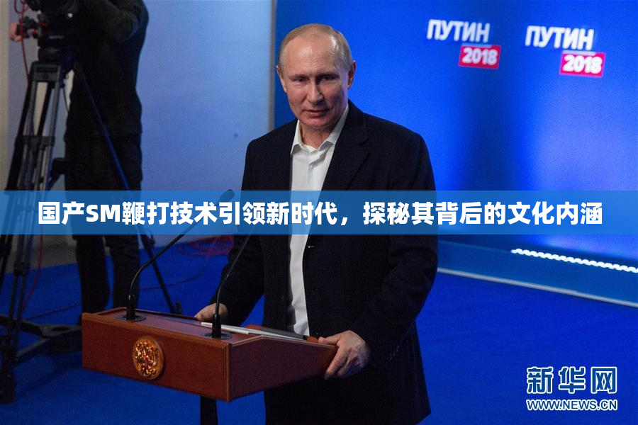 国产SM鞭打技术引领新时代，探秘其背后的文化内涵