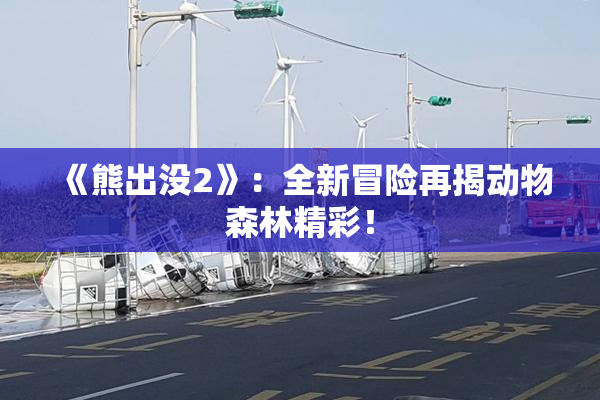 《熊出没2》：全新冒险再揭动物森林精彩！