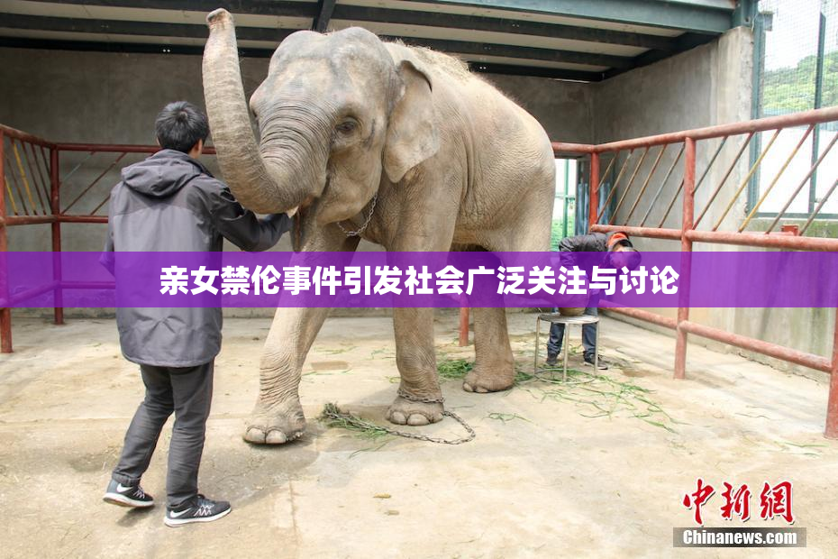 亲女禁伦事件引发社会广泛关注与讨论