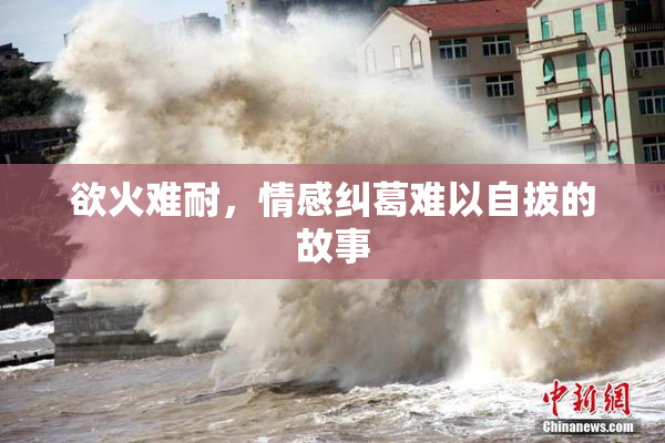 欲火难耐，情感纠葛难以自拔的故事