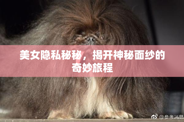 美女隐私秘秘，揭开神秘面纱的奇妙旅程