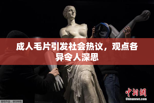 成人毛片引发社会热议，观点各异令人深思