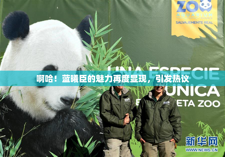 啊哈！蓝曦臣的魅力再度显现，引发热议