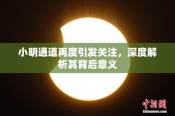 小明通道再度引发关注，深度解析其背后意义