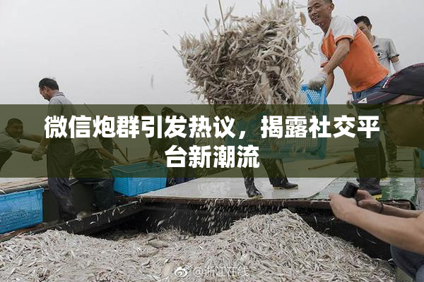 微信炮群引发热议，揭露社交平台新潮流
