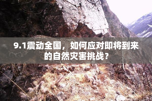 9.1震动全国，如何应对即将到来的自然灾害挑战？