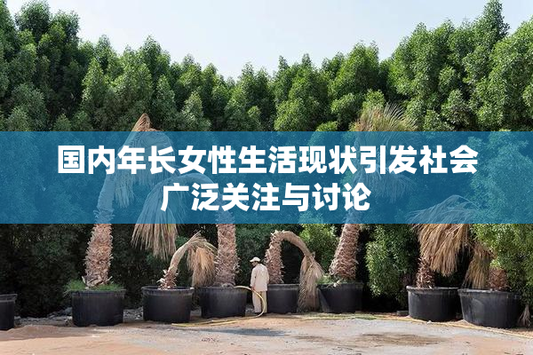 国内年长女性生活现状引发社会广泛关注与讨论