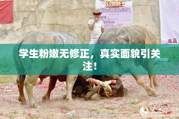 学生粉嫩无修正，真实面貌引关注！