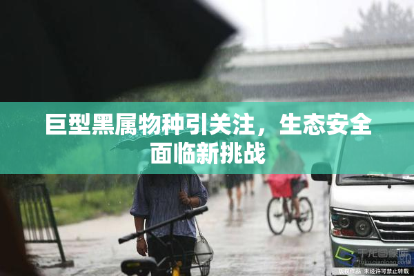 巨型黑属物种引关注，生态安全面临新挑战