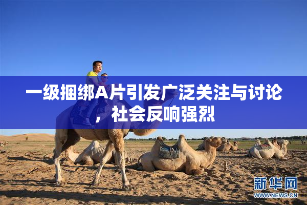 一级捆绑A片引发广泛关注与讨论，社会反响强烈