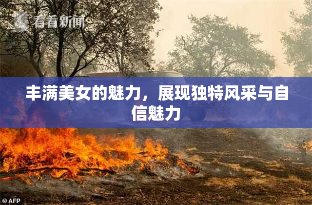 丰满美女的魅力，展现独特风采与自信魅力
