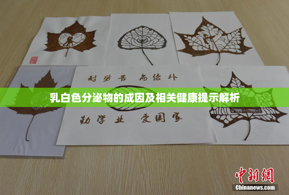乳白色分泌物的成因及相关健康提示解析