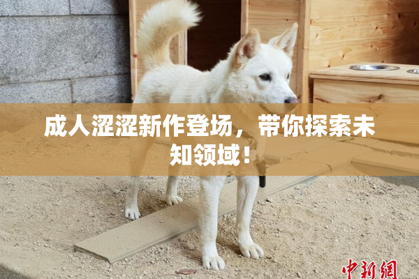 成人涩涩新作登场，带你探索未知领域！