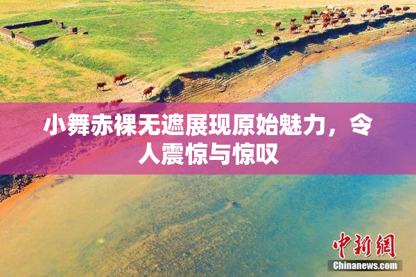 小舞赤裸无遮展现原始魅力，令人震惊与惊叹