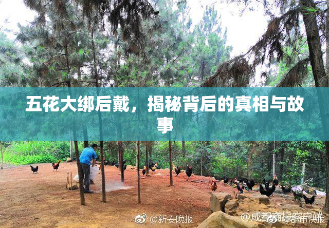 五花大绑后戴，揭秘背后的真相与故事
