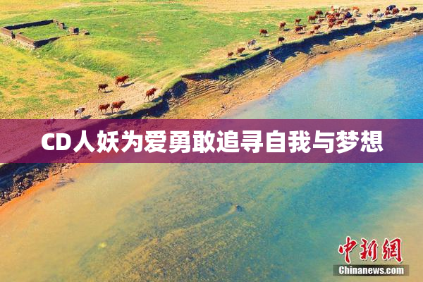 CD人妖为爱勇敢追寻自我与梦想
