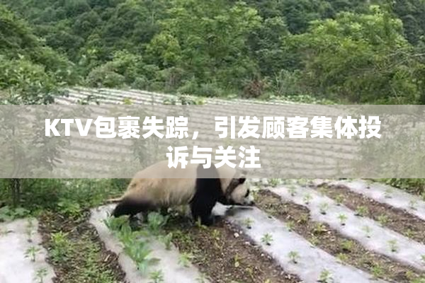 KTV包裹失踪，引发顾客集体投诉与关注